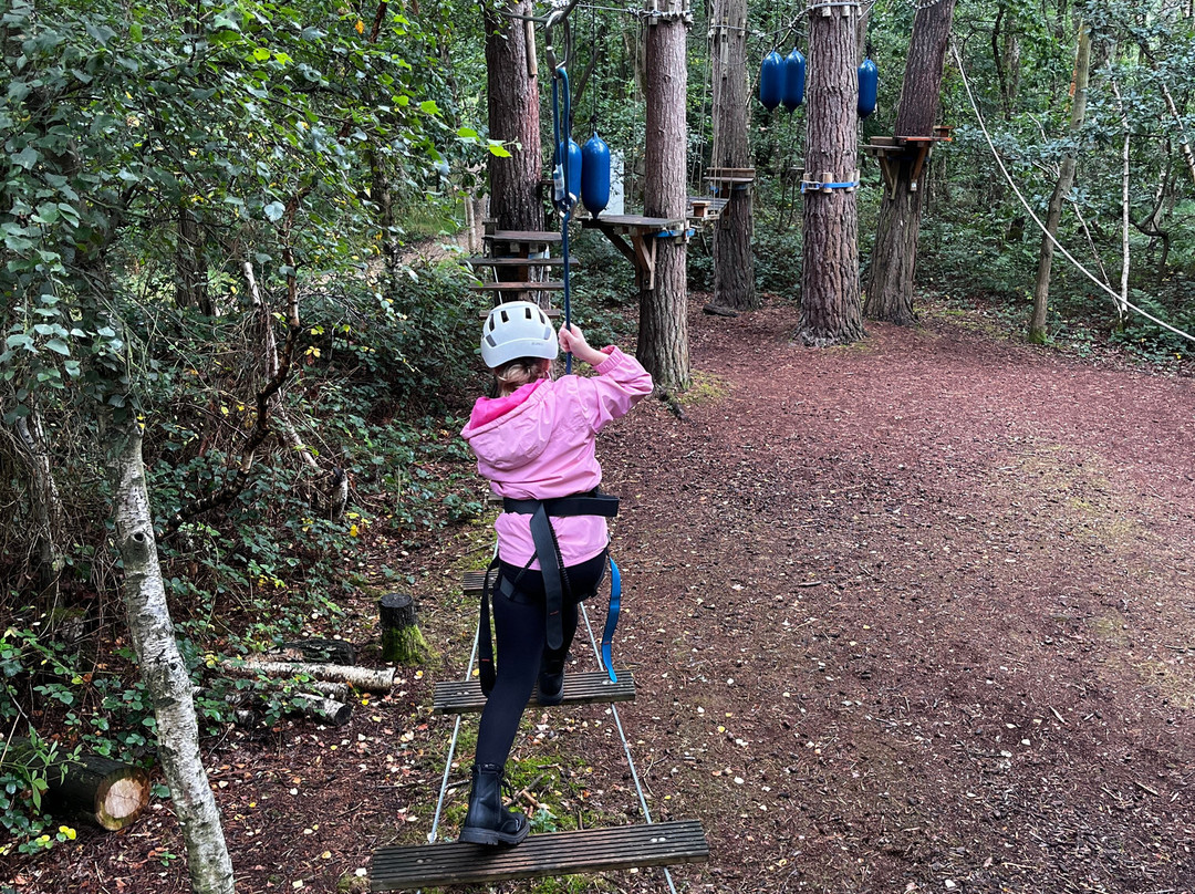 Wild Pines Park-Market Rasen必去景点