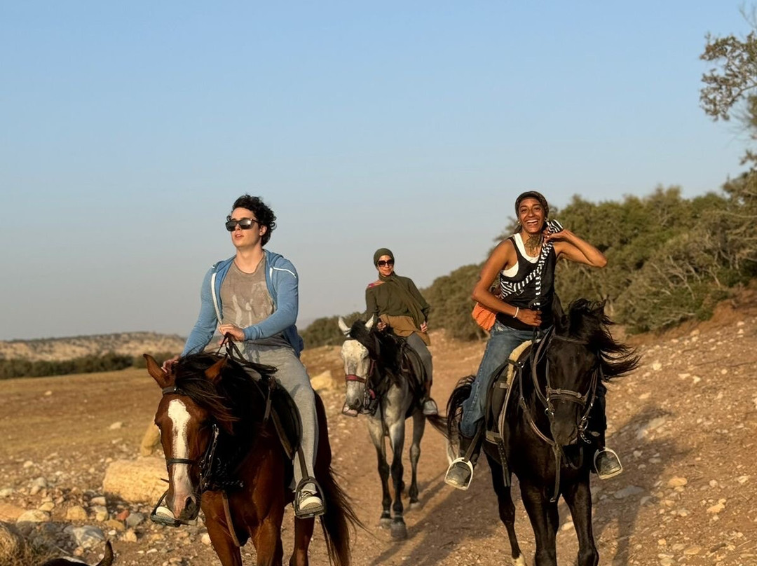 Ranch Berbère À Sidi Kaouki - Essaouira-Sidi Kaouki必去景点