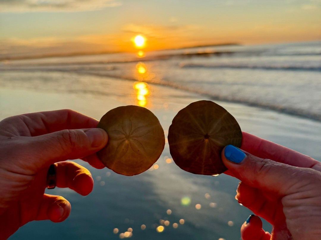 Moontide Motel, Cabins and Apartments主图