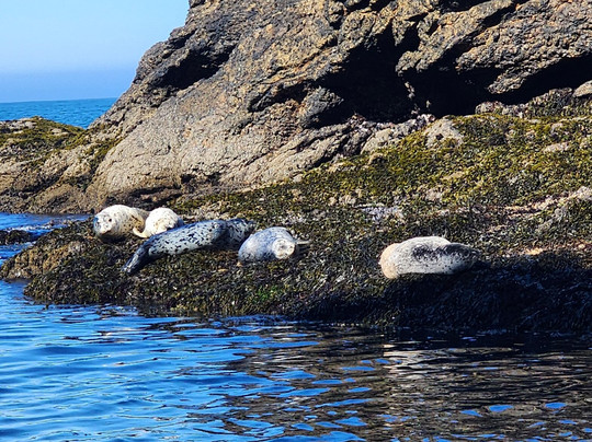 Whale's Tail Charters-Depoe Bay必去景点