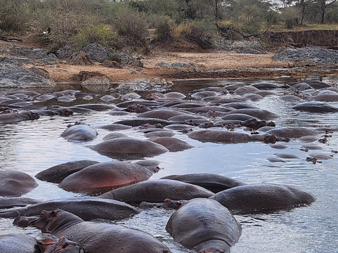 African Traces-莫西必去景点