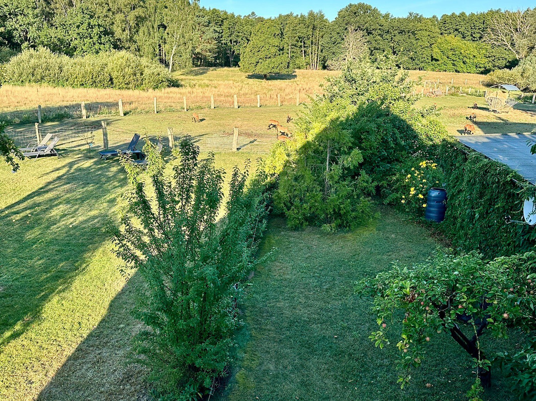 Landhotel Rosenhof主图