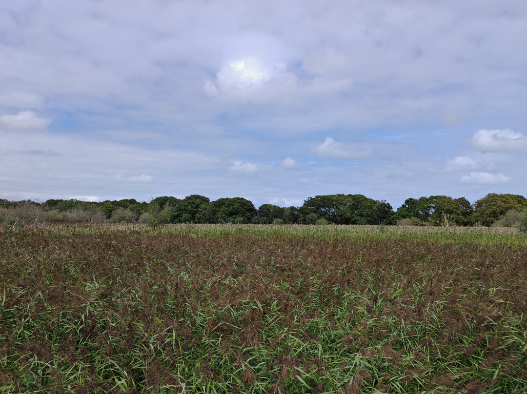 Hickling Broad and Marshes-诺福克郡必去景点