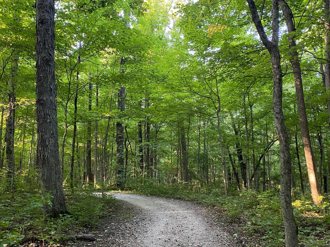 Charleston Falls Preserve-Tipp City必去景点