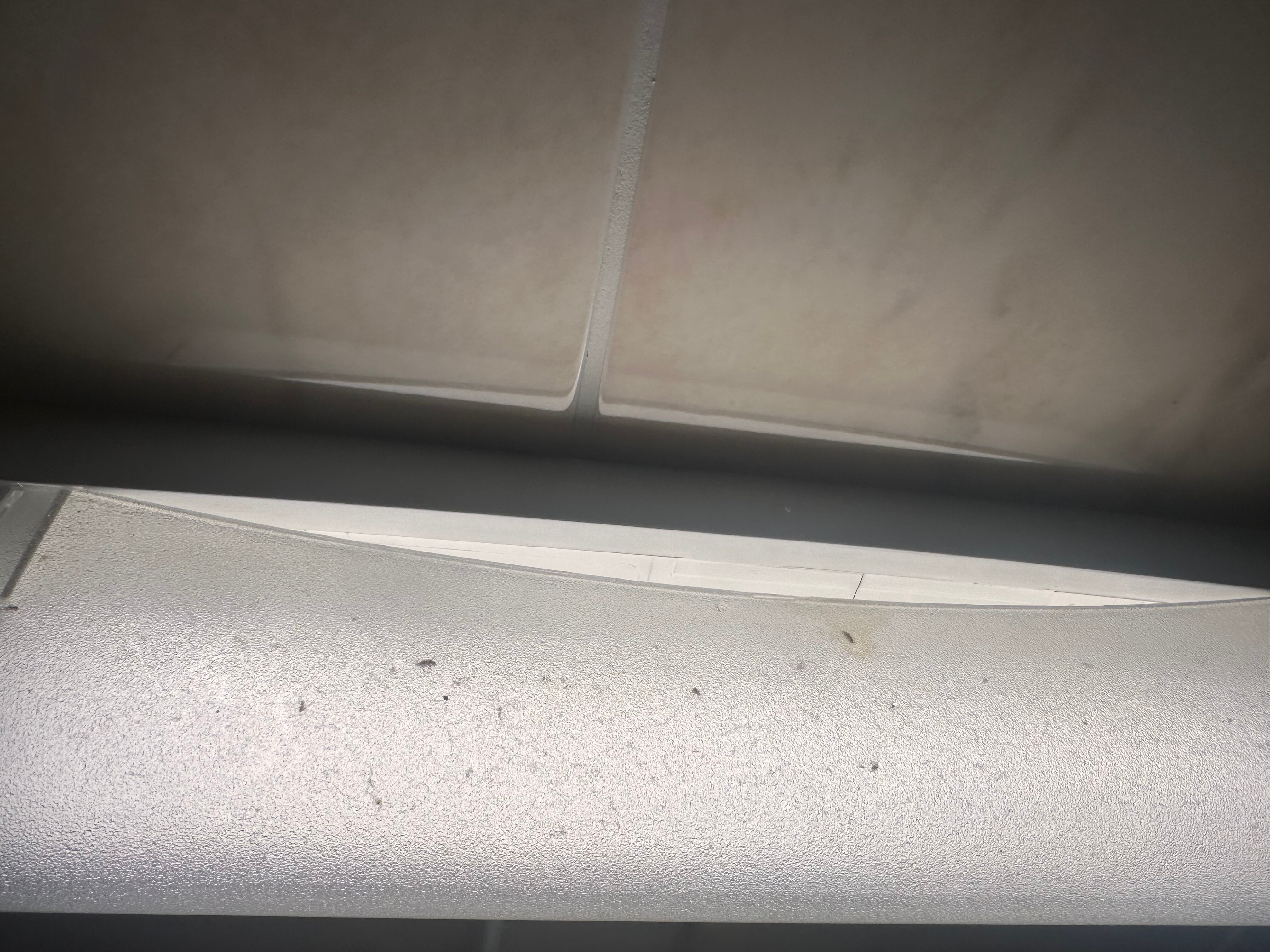 蒙泰古酒店-官方