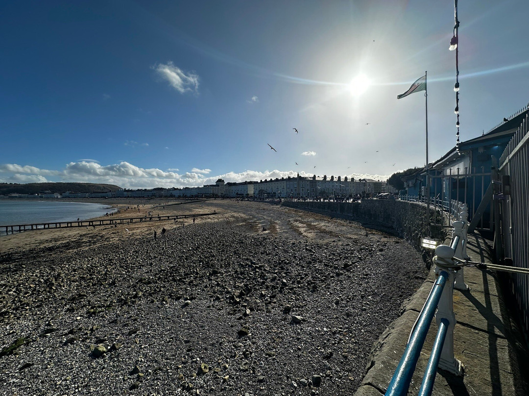 Bryn Goleu B&B主图