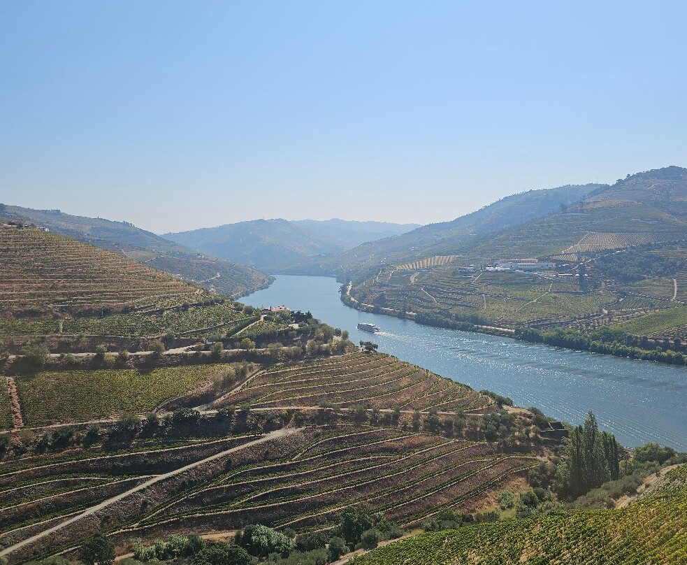 Quinta do Crasto-Sabrosa必去景点