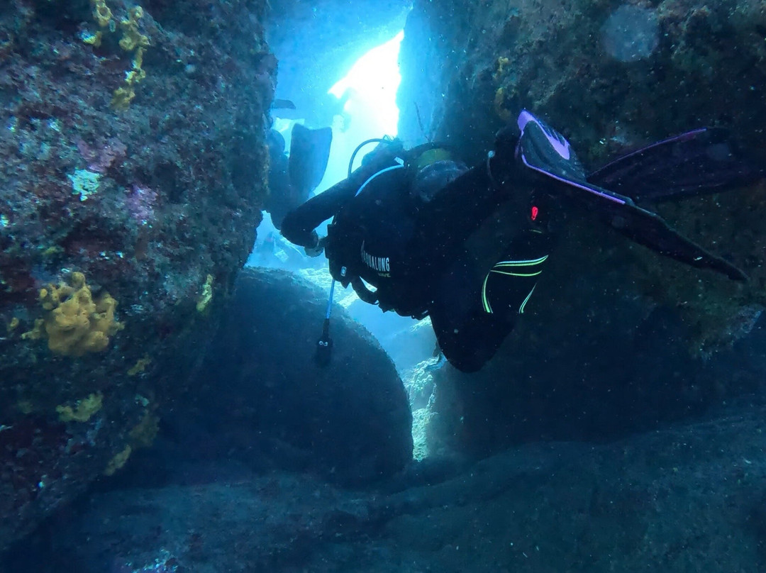 Diver's Club Crete-阿希亚贝拉希亚必去景点