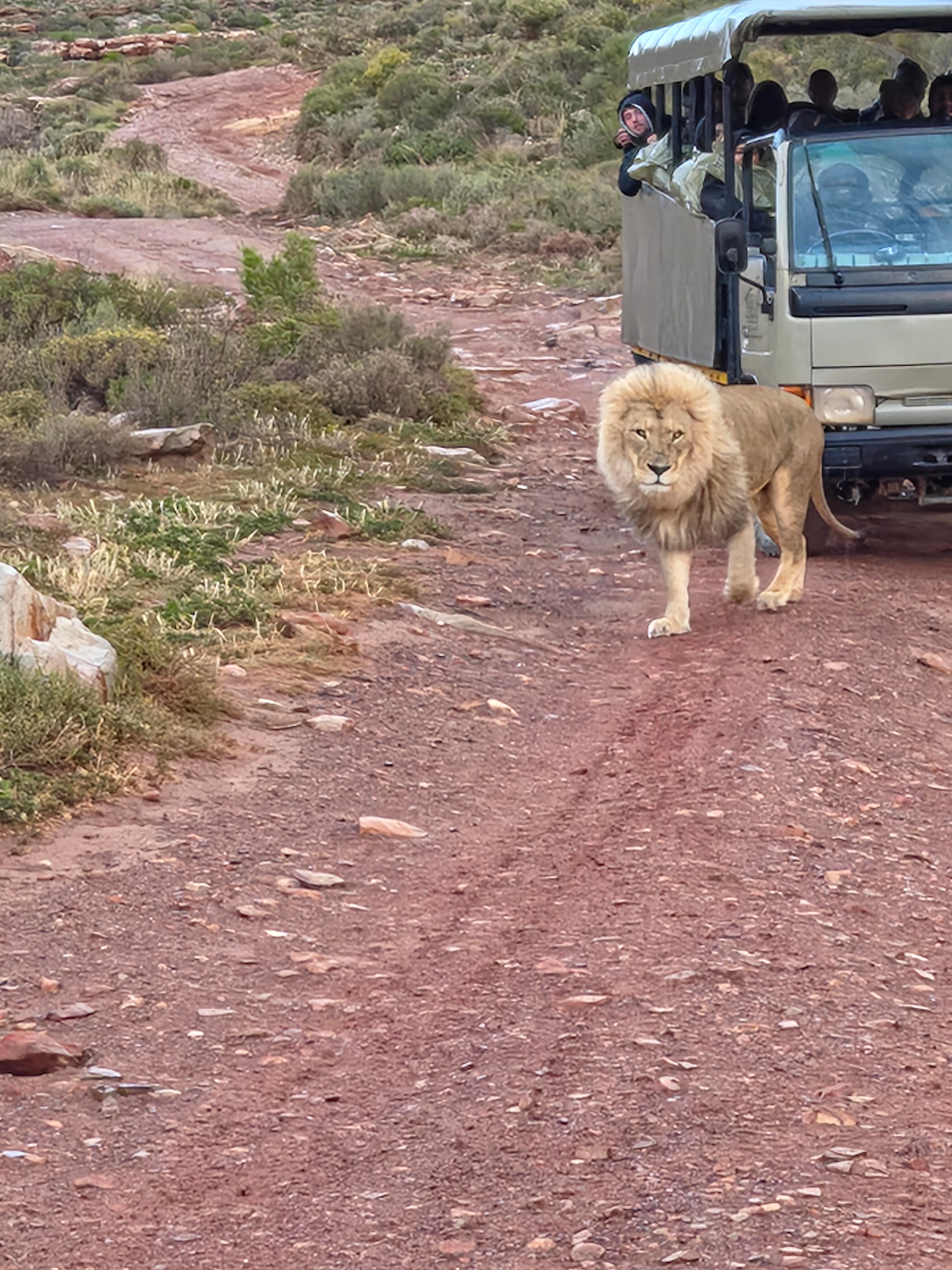 Aquila Private Game Reserve-浴室