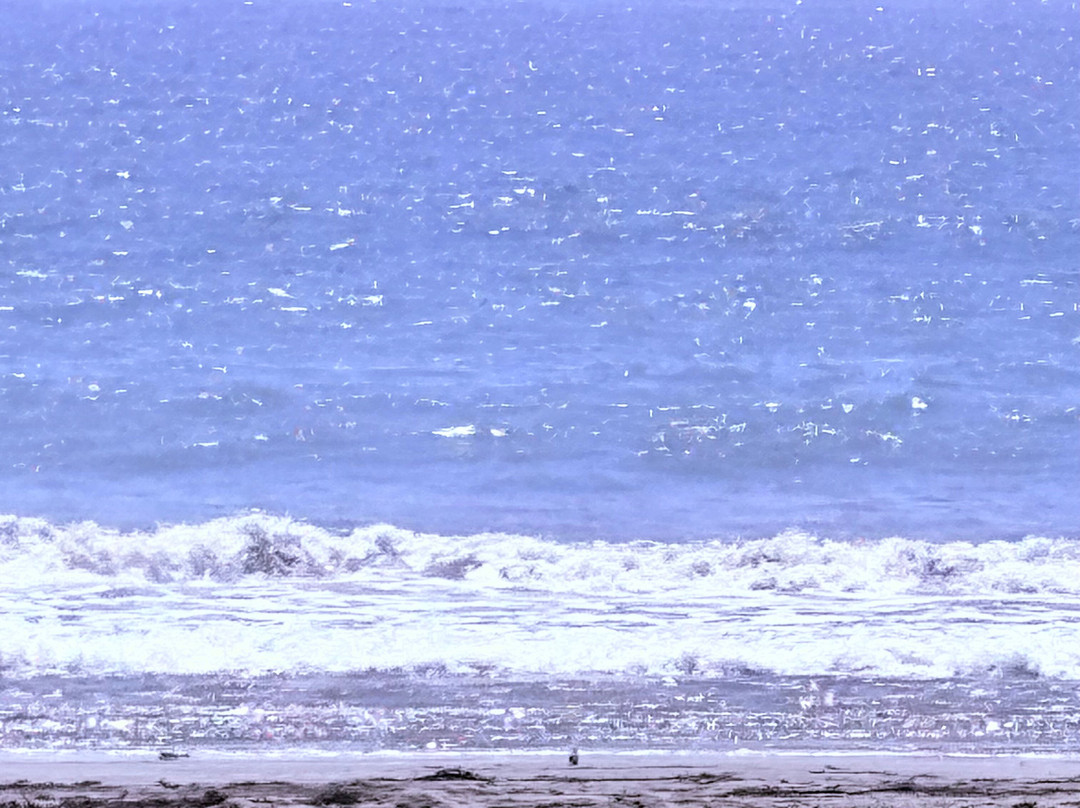 On The Beach Bed & Breakfast主图