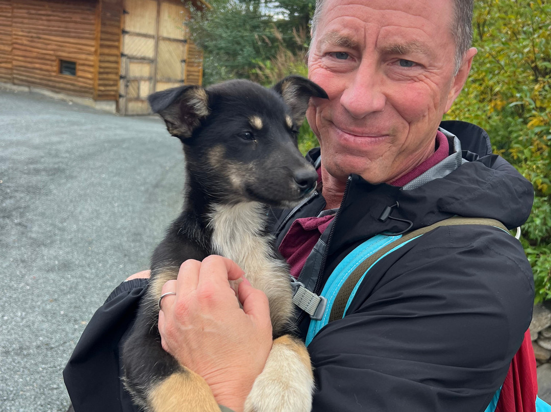 Dog Gone It-坎特维尔必去景点