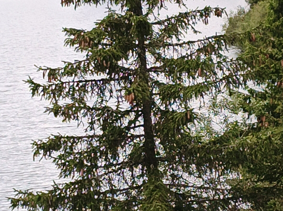 LAC DE SAINT GUÉRIN-Beaufort必去景点