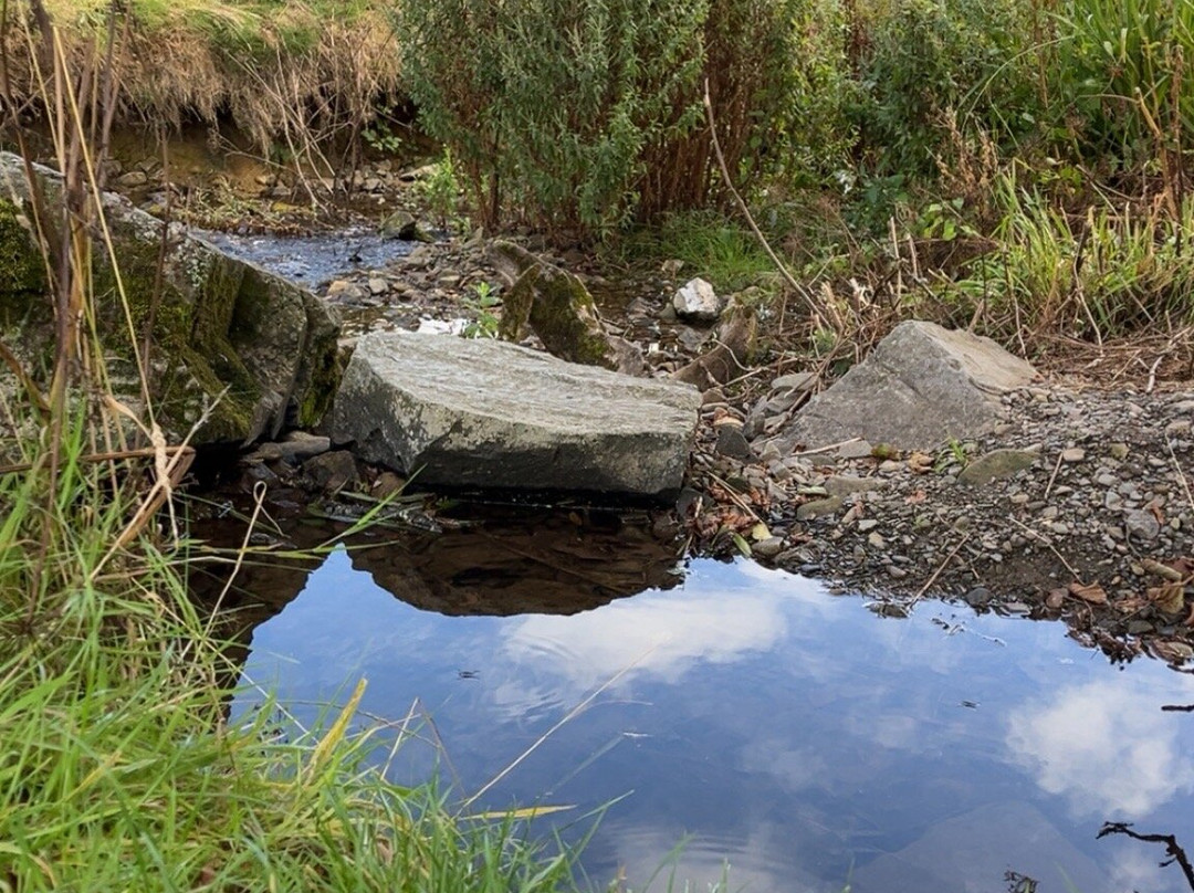 Colby Woodland Garden (National Trust)-Amroth必去景点