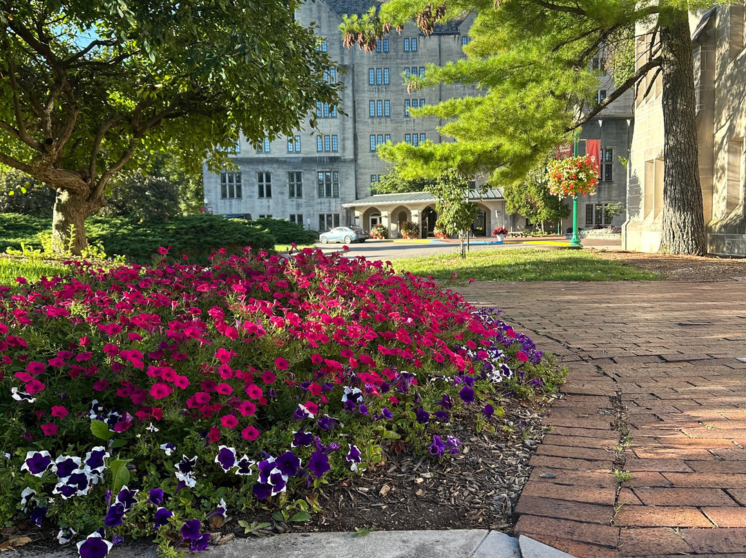 IU Biddle Hotel主图