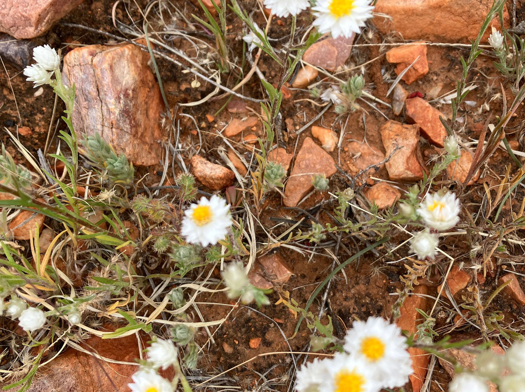 Trek Tours Australia-达尔文市必去景点