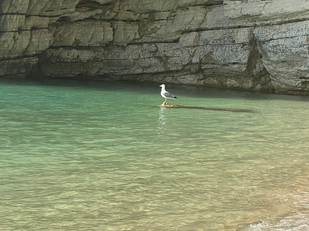 Baia delle Zagare-Mattinata必去景点
