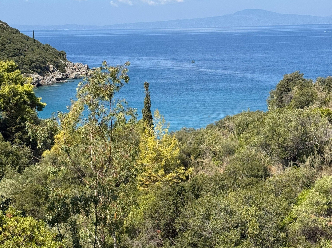 Delfinia Beach-Kardamili必去景点