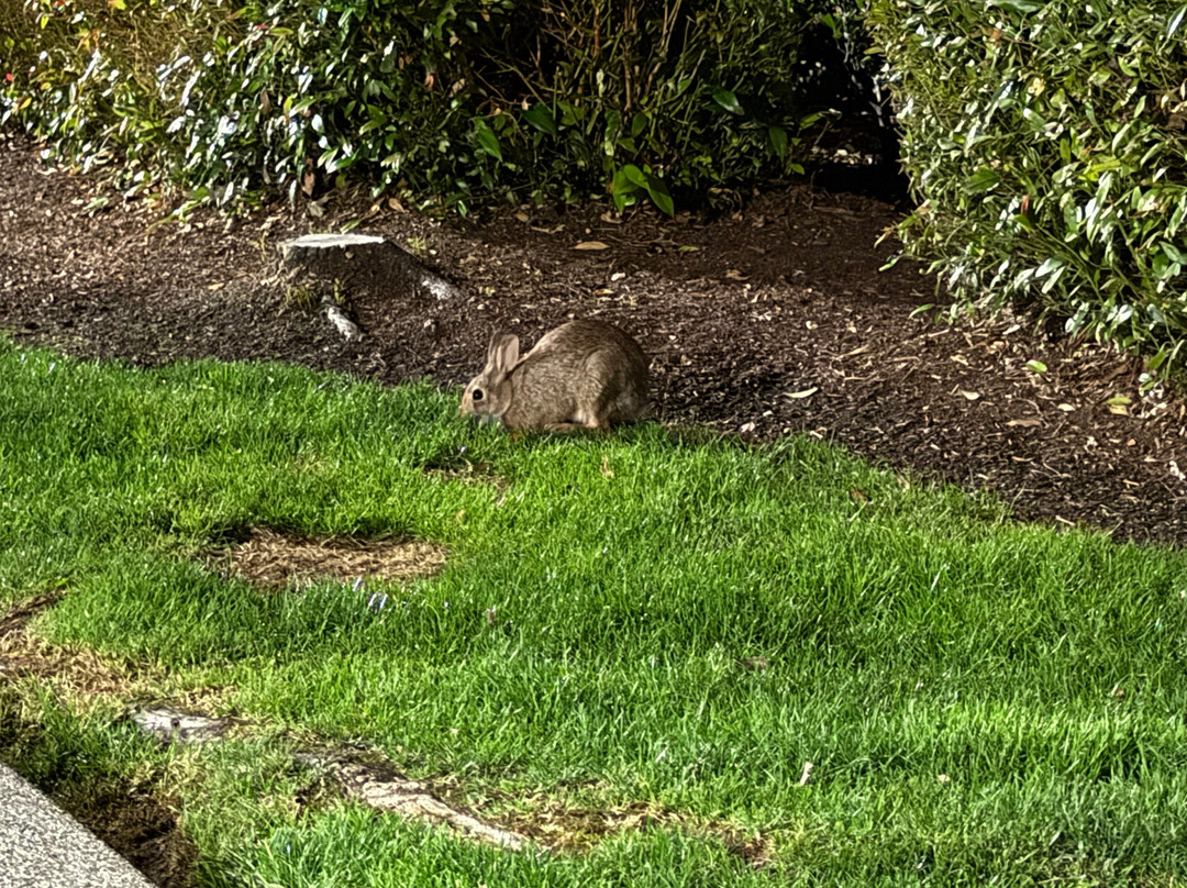 Extended Stay America - Seattle - Bothell - West主图