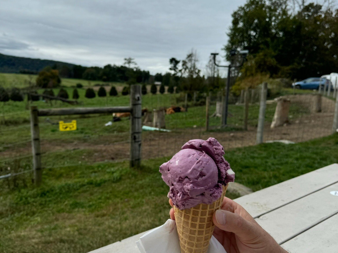 High Lawn Farm-利镇必去景点