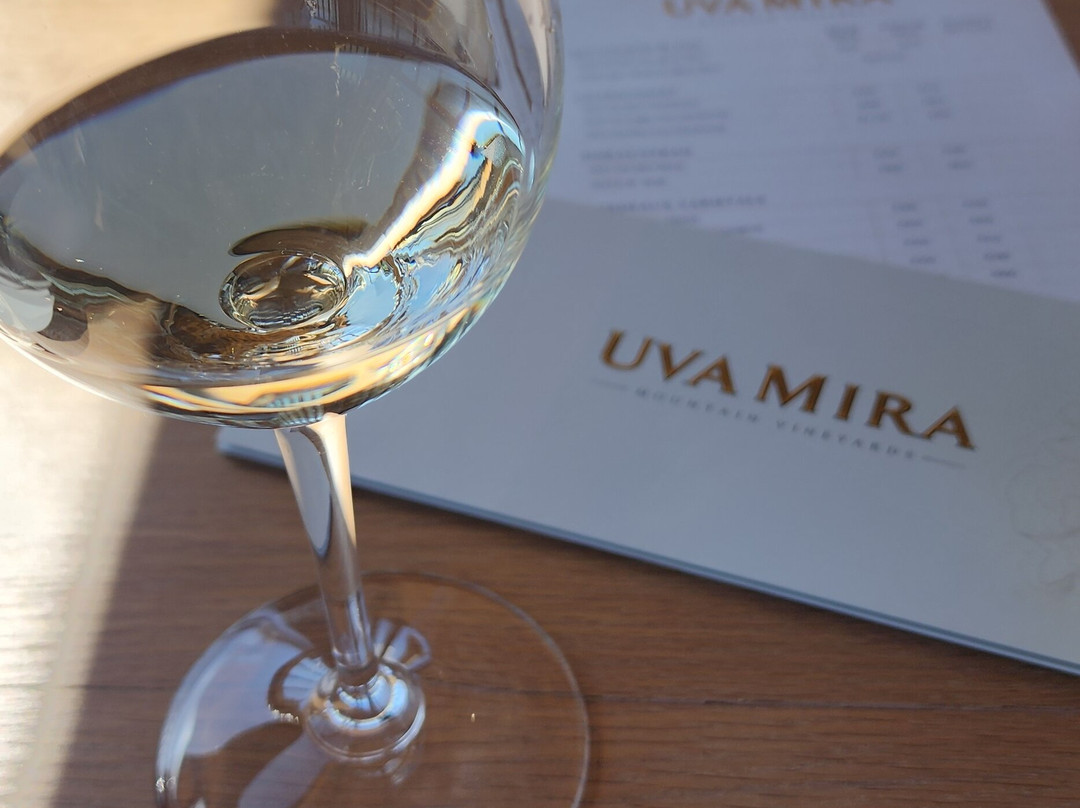 Uva Mira Mountain Vineyards-斯泰伦博斯必去景点