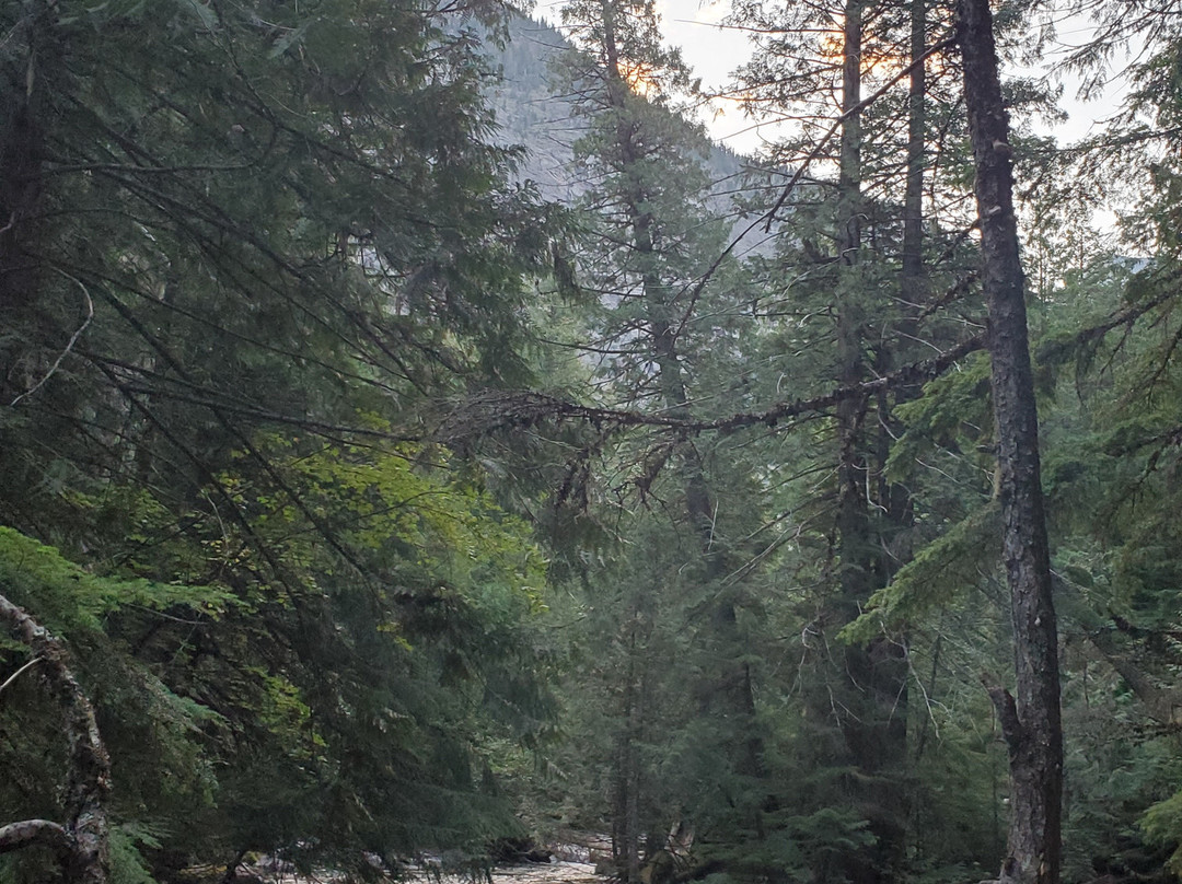 Avalanche Lake-冰河国家公园必去景点