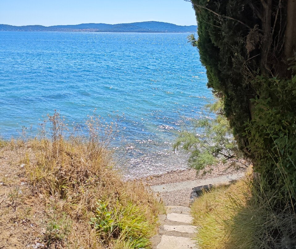 Kolovare Beach-扎达尔必去景点
