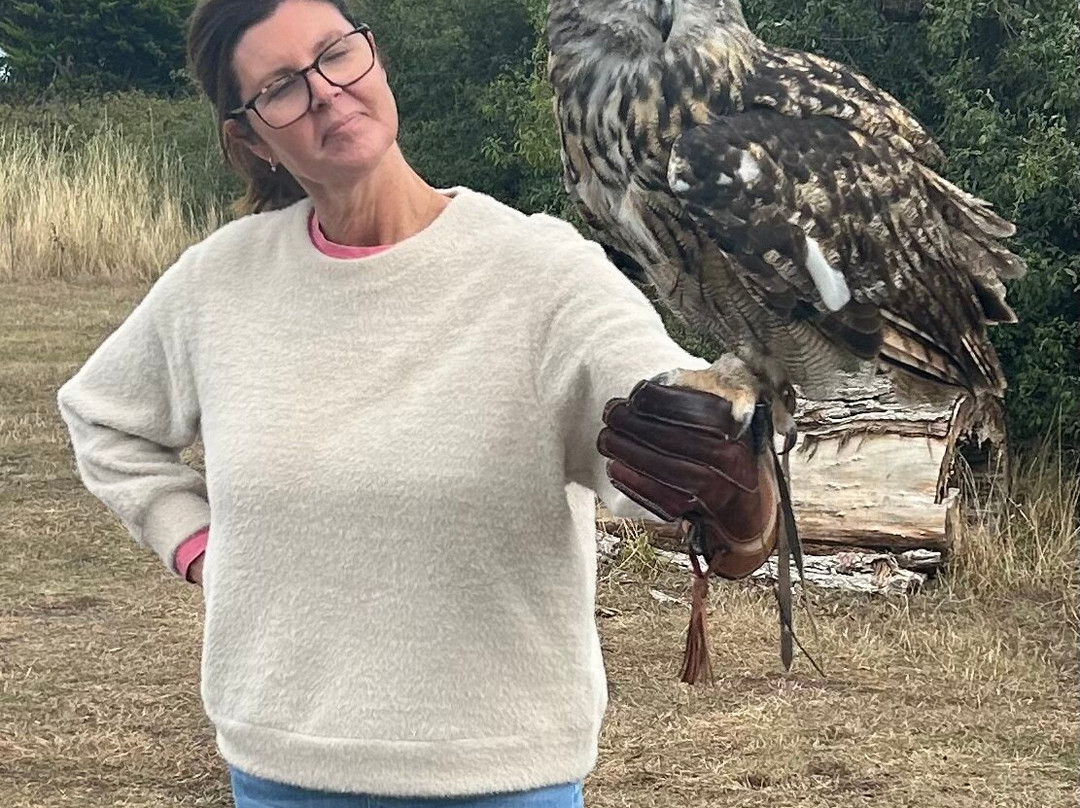 Feathers and Fur Falconry Centre-布拉克内尔必去景点