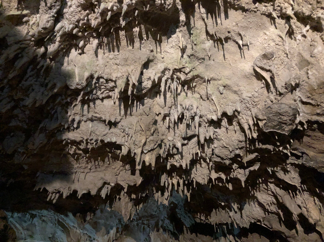 Oregon Caves National Monument And Preserve-凯夫章克申必去景点
