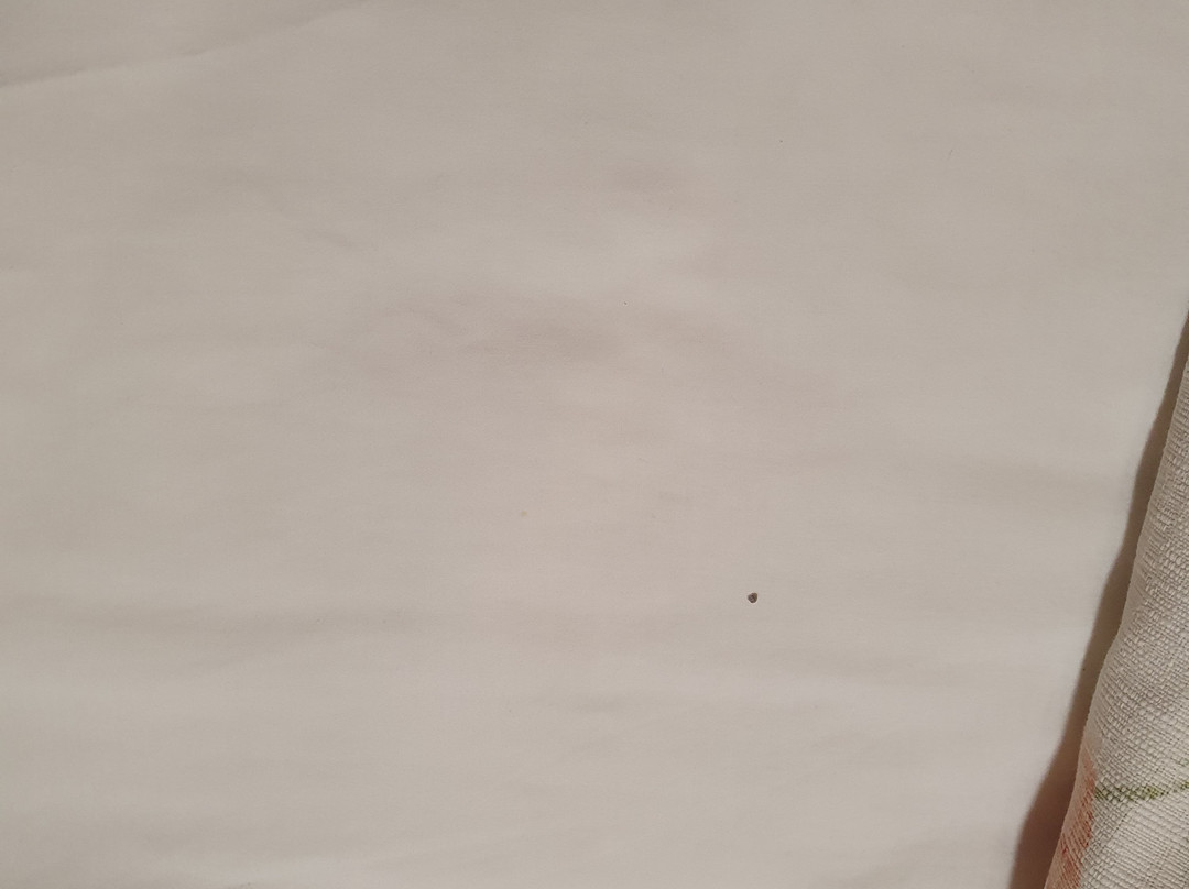 Hotel Restaurante Santa Elena主图