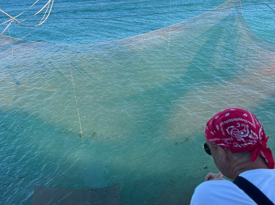 Trabucco Di Punta San Francesco-维耶斯泰必去景点