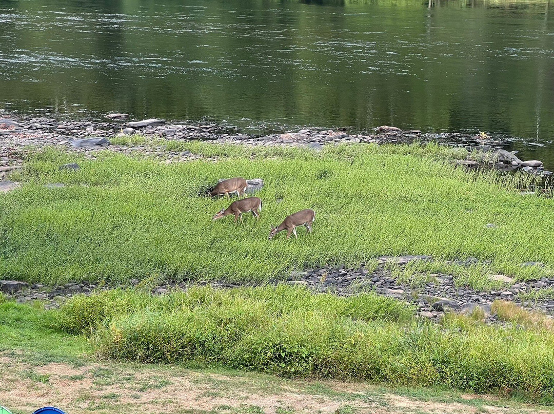 1870 Roebling Inn on the Delaware主图