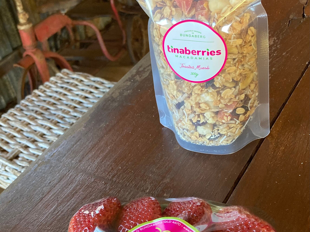 Tinaberries-邦德堡必去景点