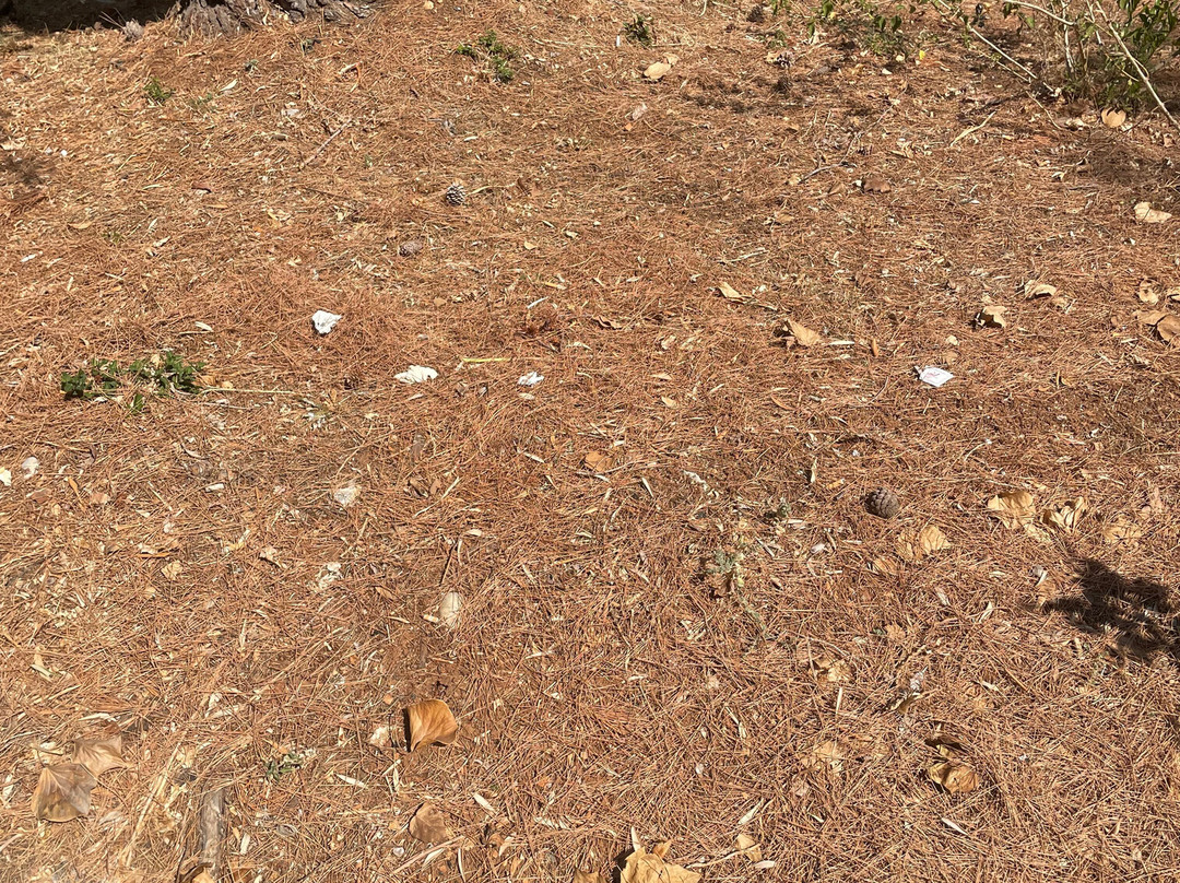 Hotel Guardacosta主图