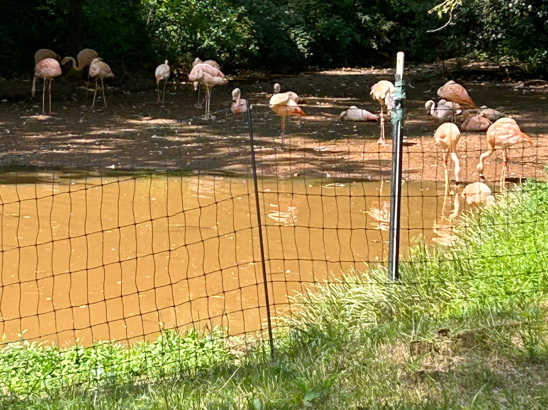 Greenville Zoo-格林维尔必去景点