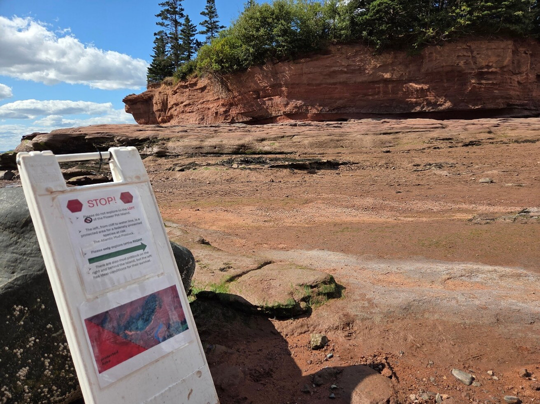 Burntcoat Head Park-Noel必去景点