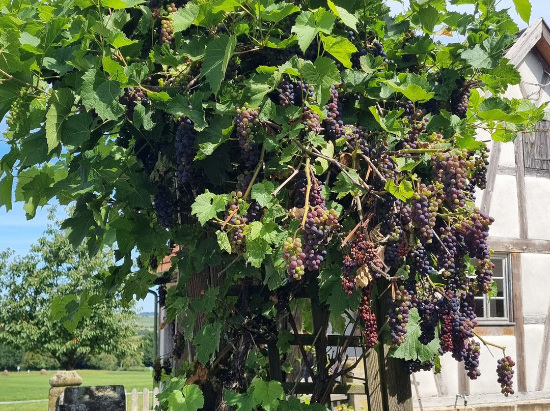 Hohenlohe Open Air Museum-施韦比施哈尔必去景点