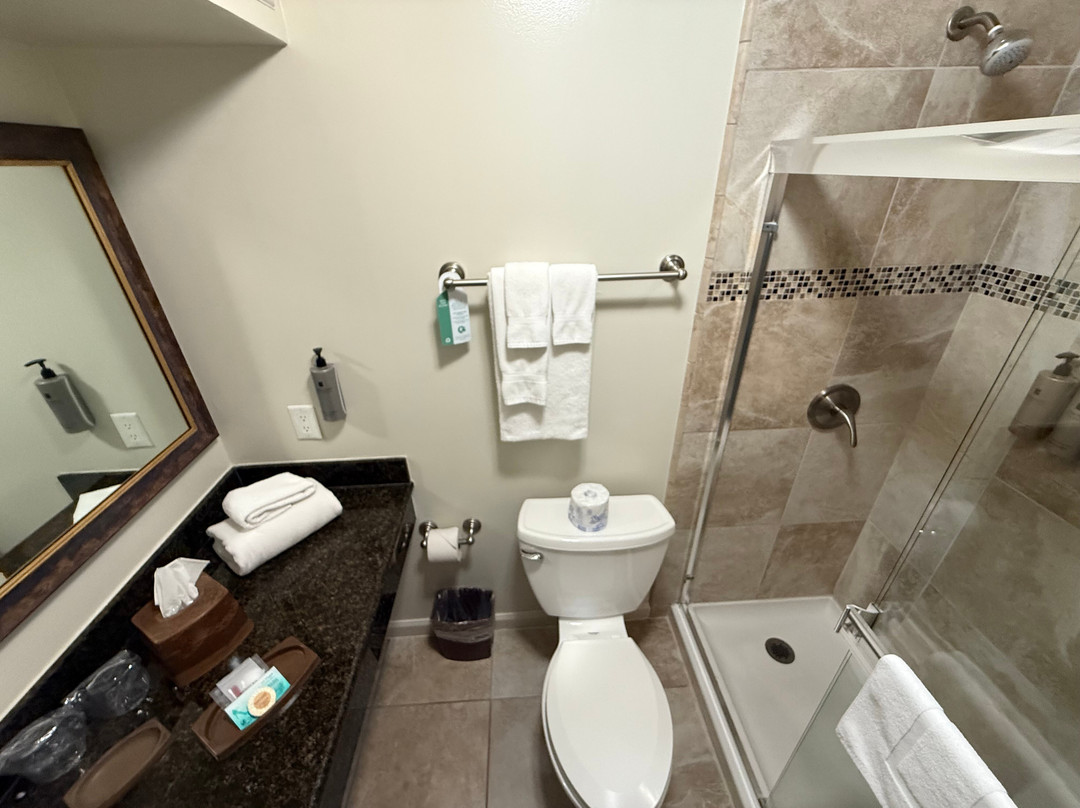 威斯勒溪畔酒店主图