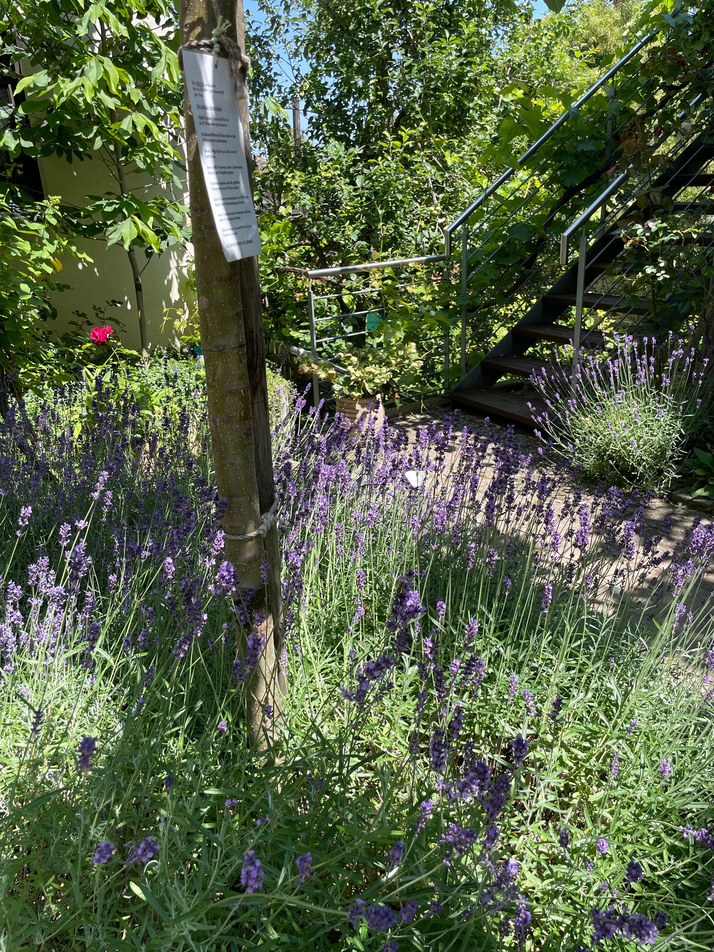 Jugendstil-Hof-浴室