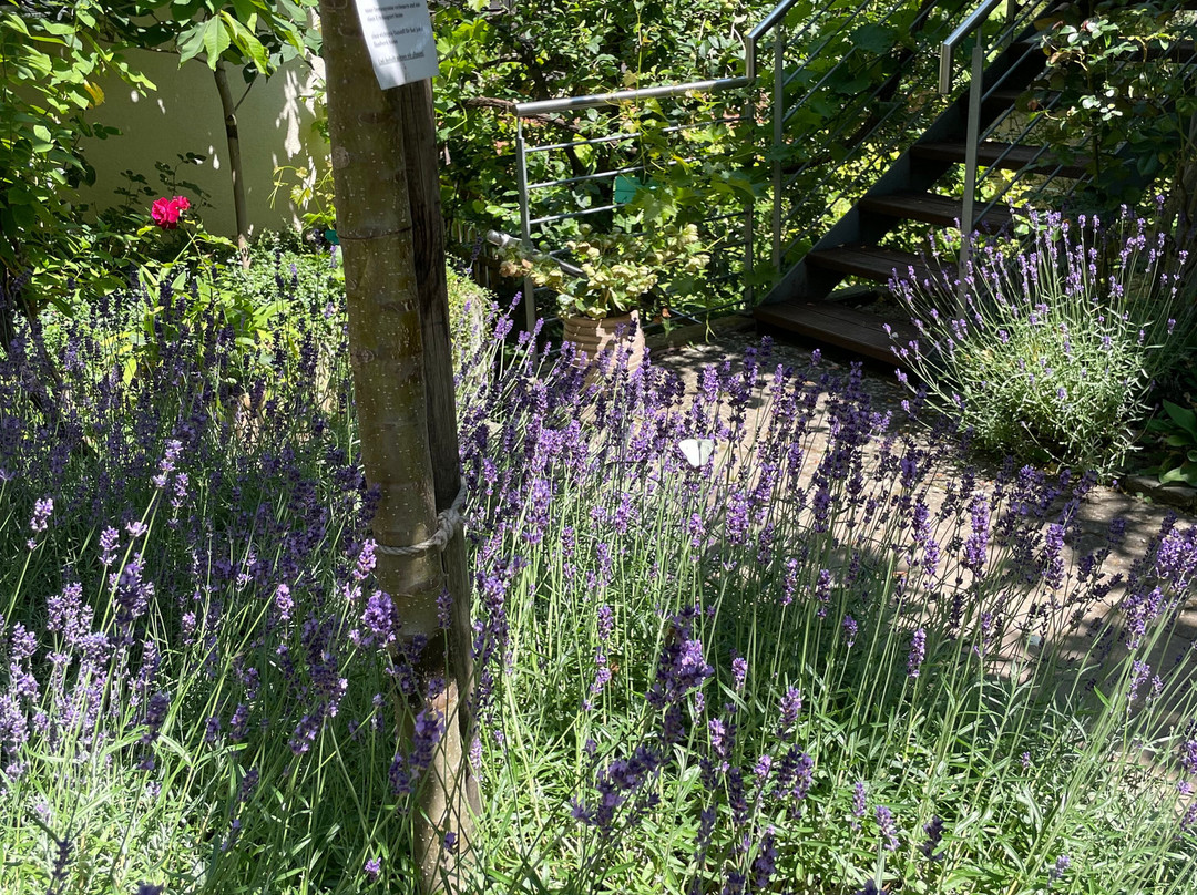 Jugendstil-Hof主图