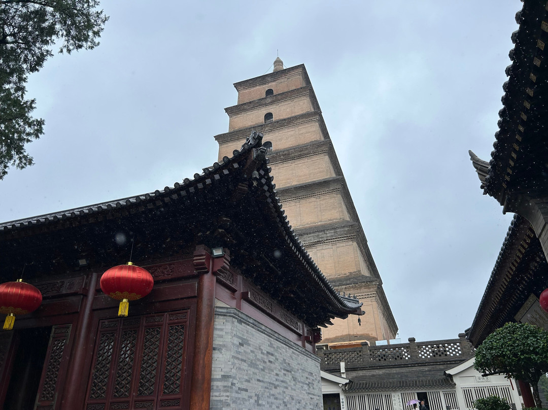 Terracotta Warriors Tour-西安市必去景点