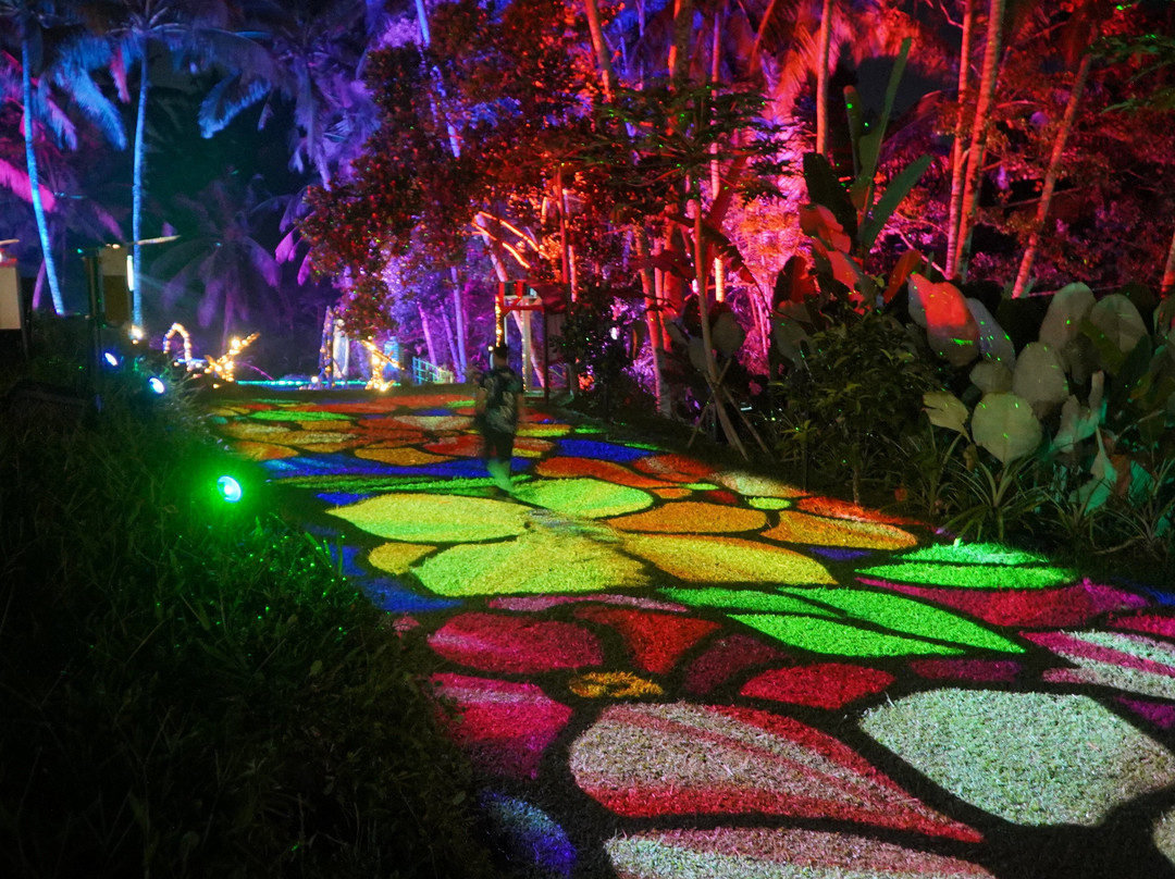 Hikaria: Bali's First Immersive Night Walk-Tegallalang必去景点