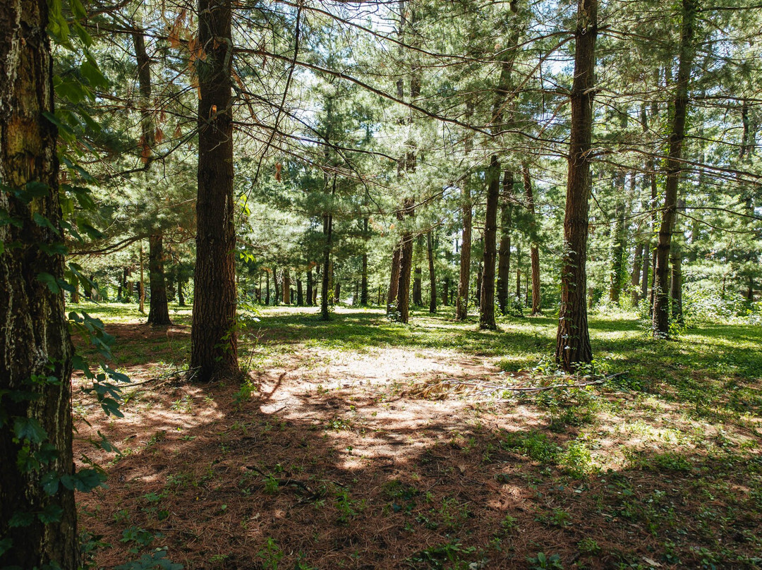 Arbor Lodge State Historical Park-Nebraska City必去景点