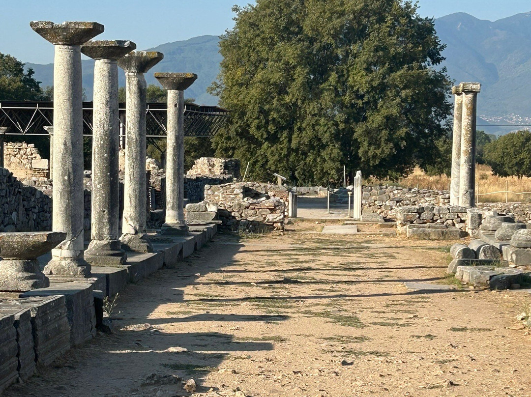 Filippi Archaeological Site-Krinides必去景点