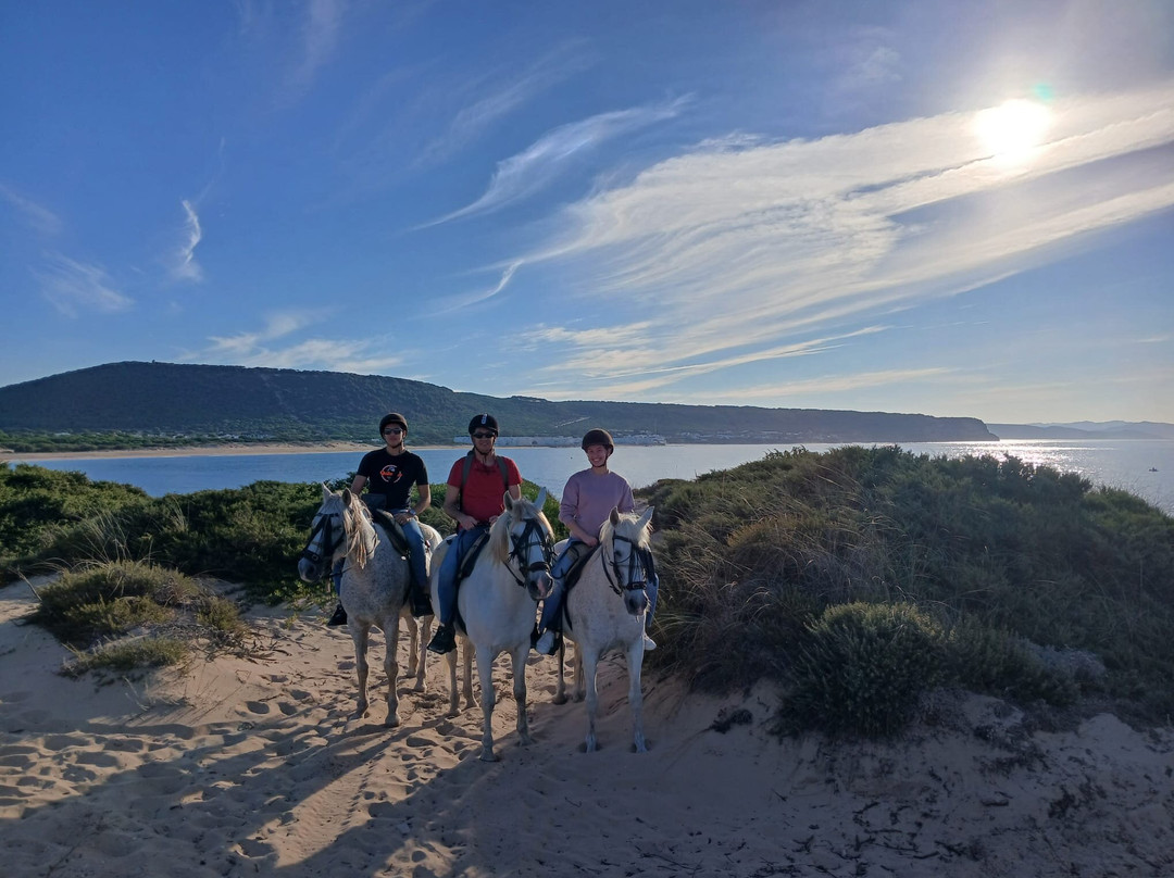 Centro Hipico Zahora-Zahora必去景点