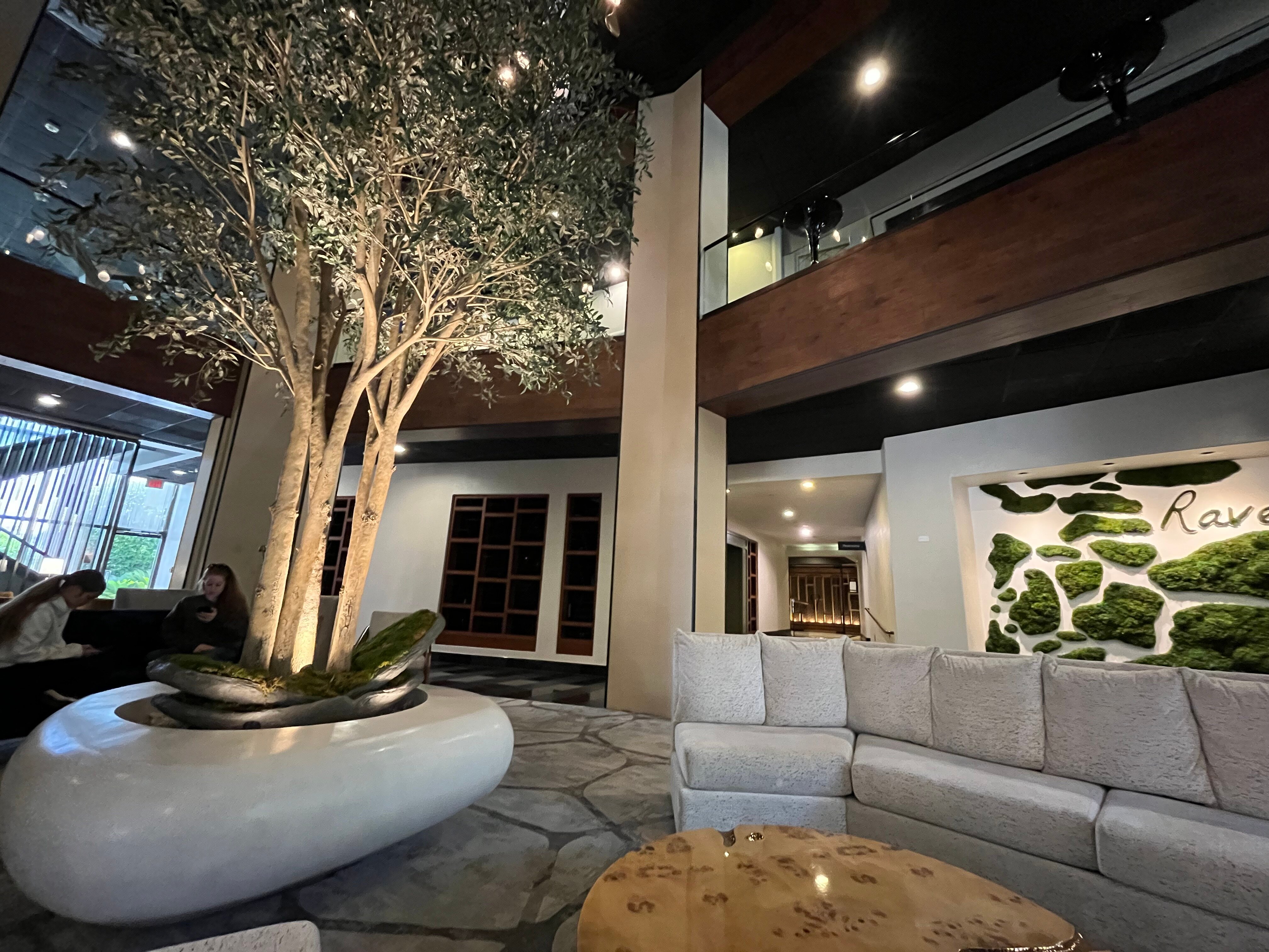 voco Laguna Hills by IHG-官方