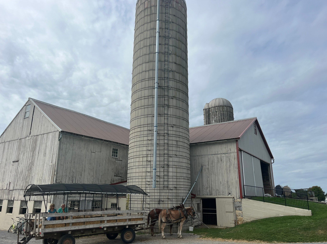 Old Windmill Farm-Ronks必去景点