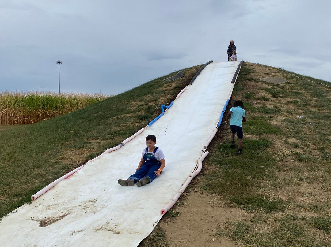 Today's Harvest-New Paris必去景点
