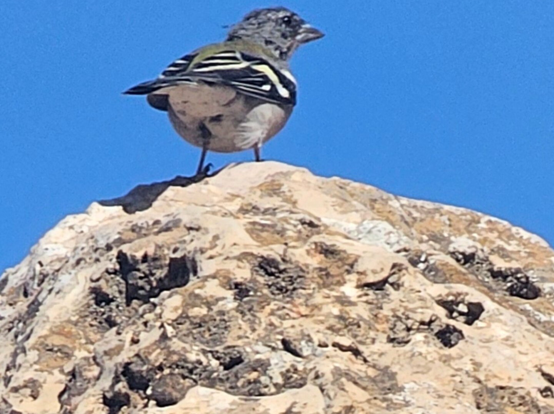 Mohamed Benkasmi-Azrou必去景点