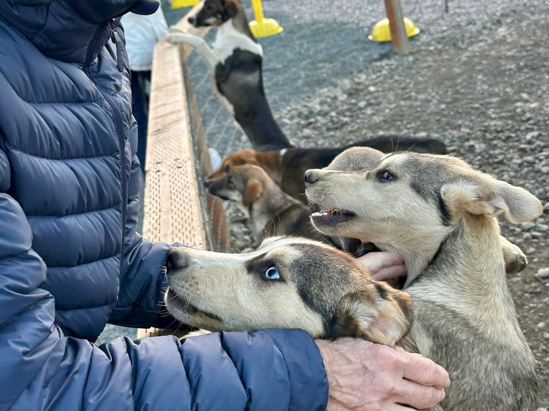 Dog Gone It-坎特维尔必去景点