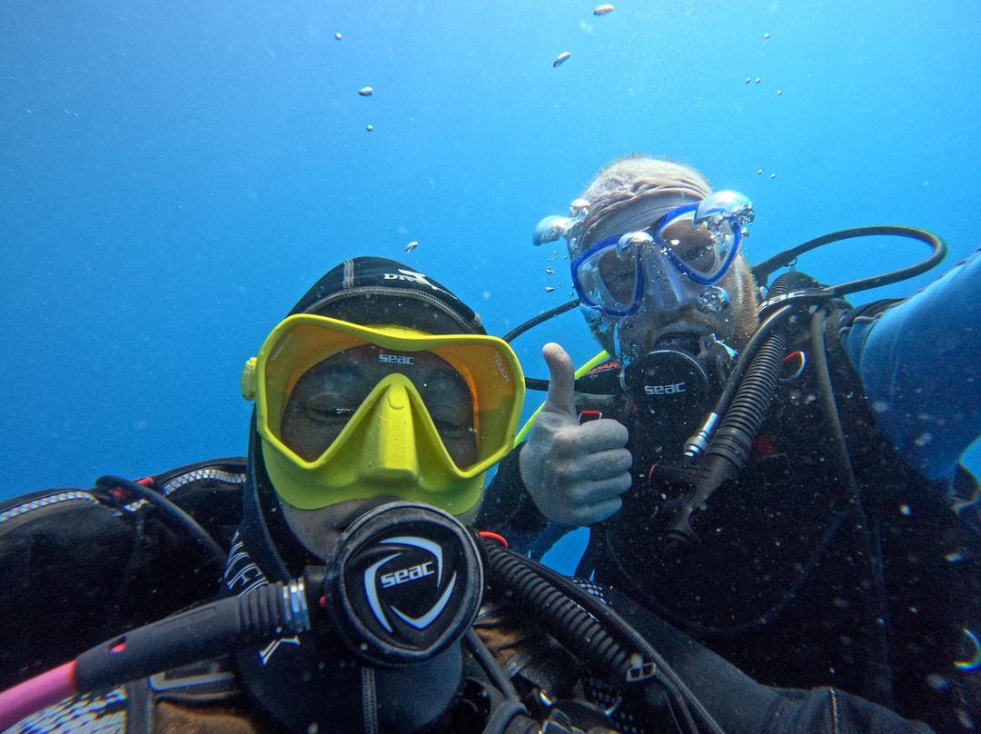 Blue Thunder Diving-利马索尔必去景点